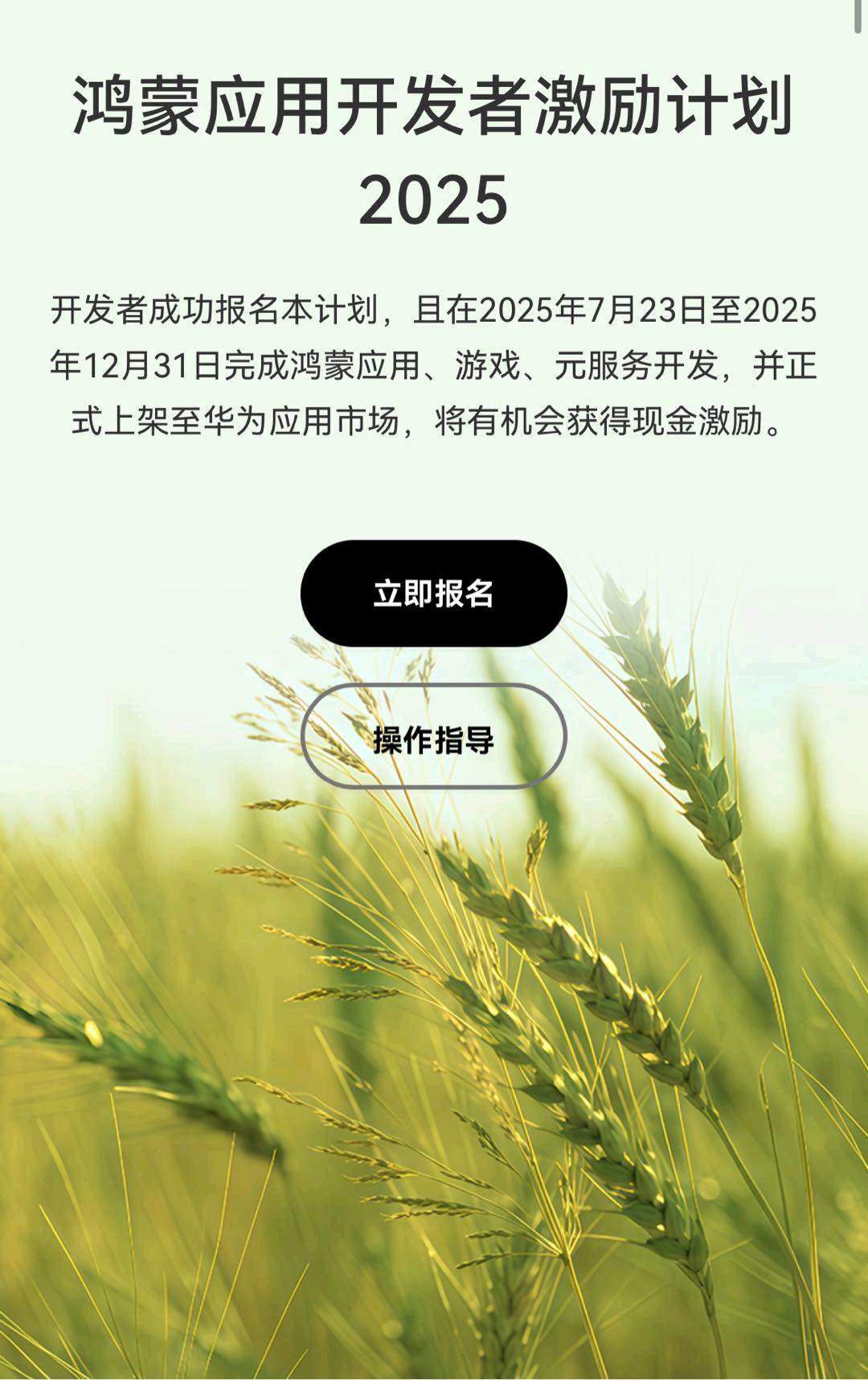 张先生找合伙人华为鸿蒙系统元服务