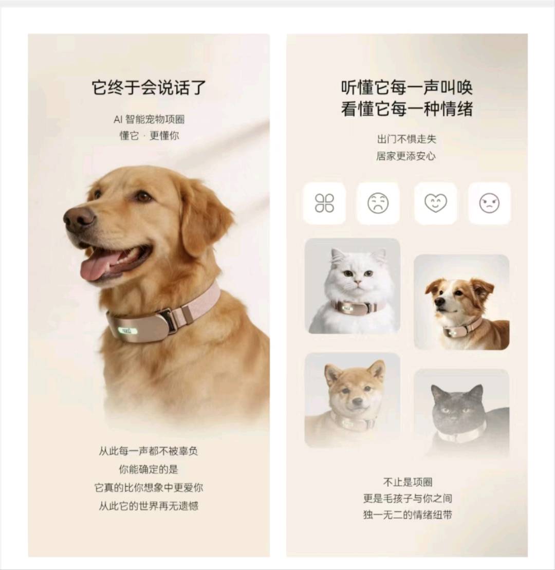 尹磊地推项目0门槛，ai风口 宠物新赛道 宠物智能项圈，人宠对话，蓝海市场