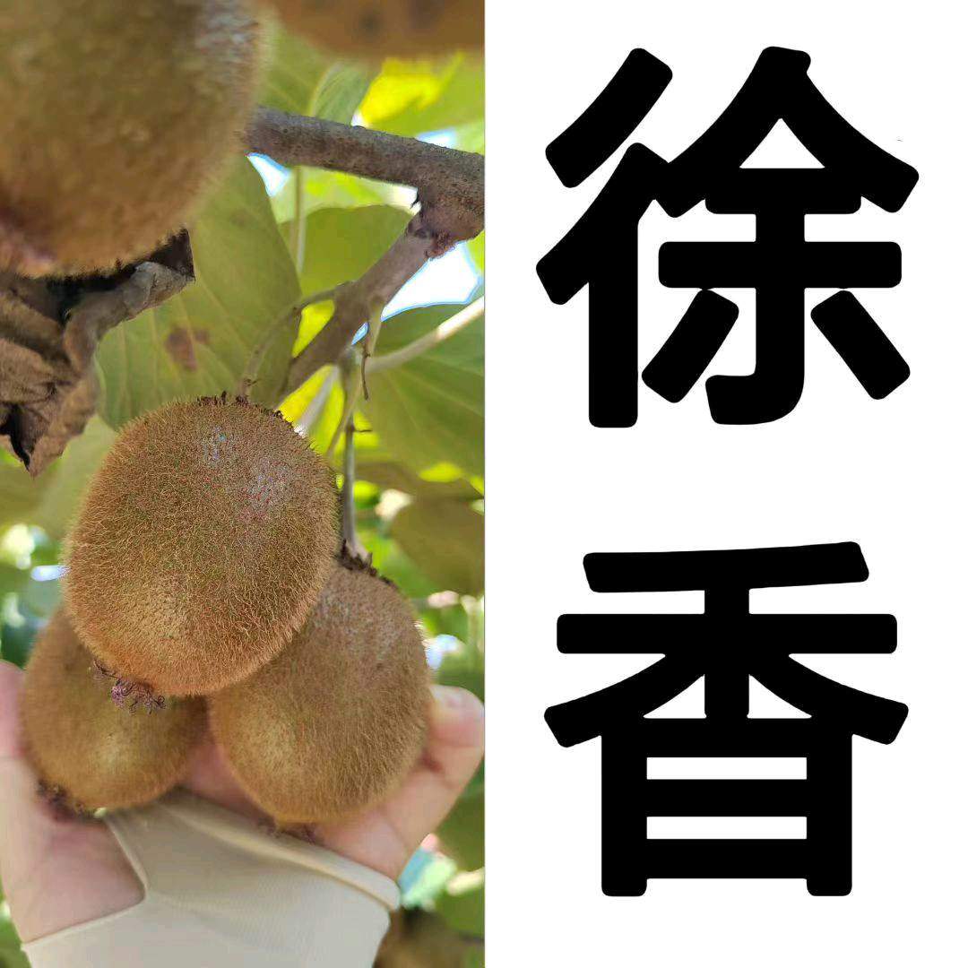 付余馨品牌货源