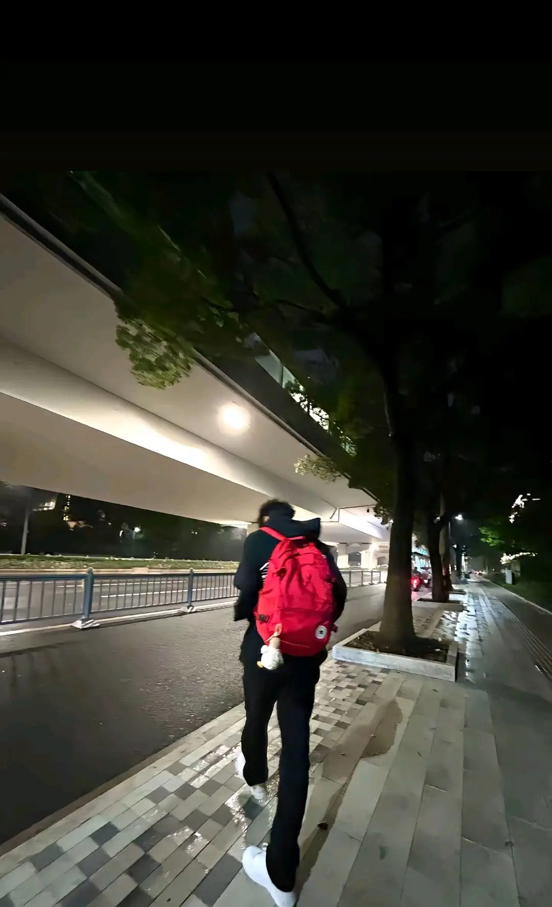 陈朵