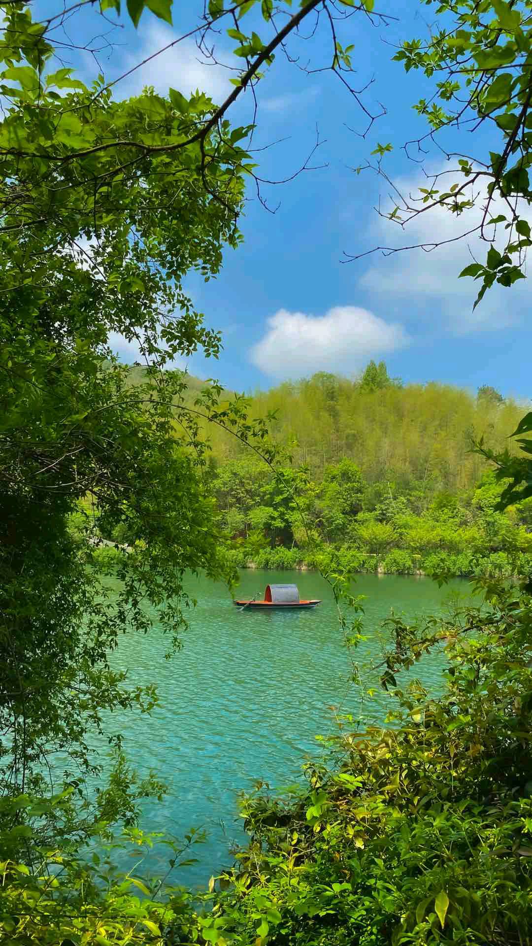 徐先生其他供需