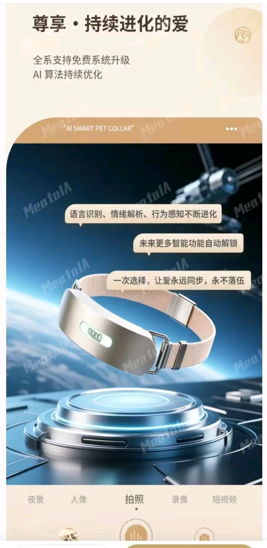 王忠良地推项目
