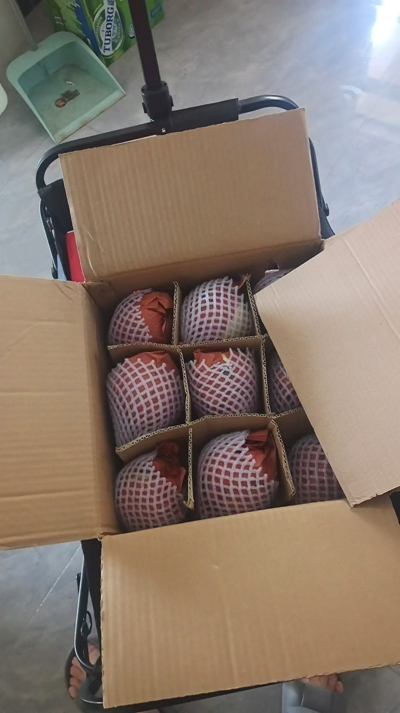 王特品牌货源