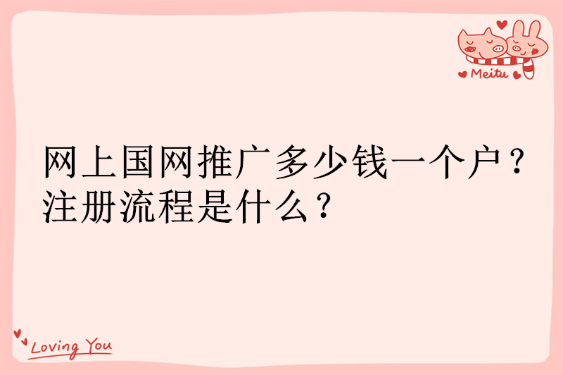 网上国网推广多少钱一个户？注册流程是什么？