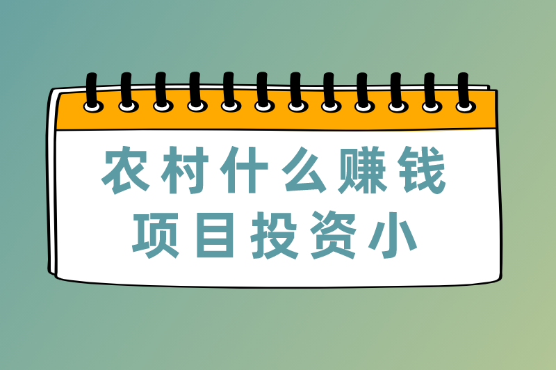 农村什么赚钱项目投资小？盘点适合在农村做的5个生意