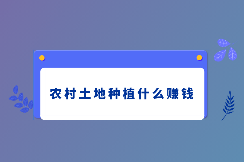 种植什么赚钱？农村土地应该种植什么？