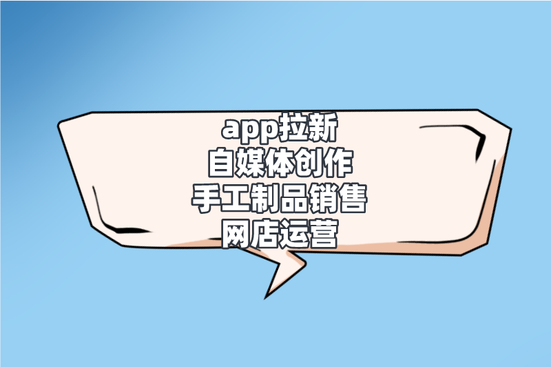 app拉新自媒体创作手工制品销售网店运营