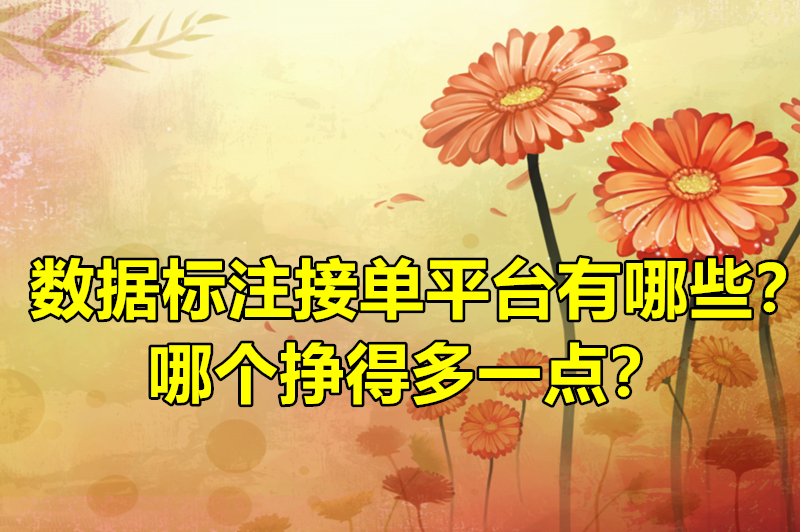 数据标注接单平台有哪些？哪个挣得多一点？