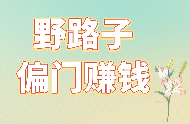 4种野路子偏门赚钱的方向，想赚钱的注意了！