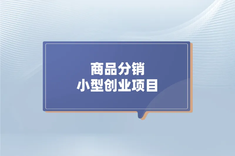 商品分销小型创业项目