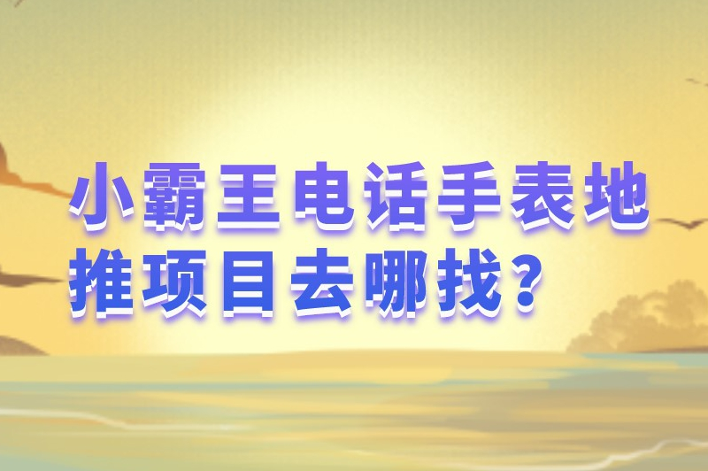小霸王电话手表地推项目去哪找？5个途径帮你快速找到项目