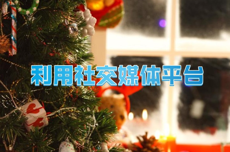 利用社交媒体平台