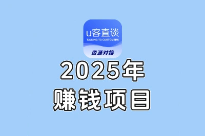 2025年赚钱项目