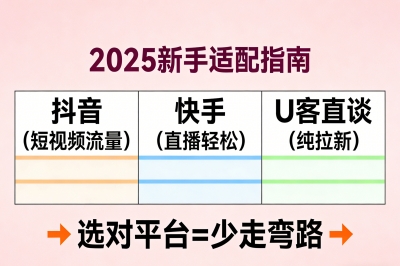 2025年新手适配指南