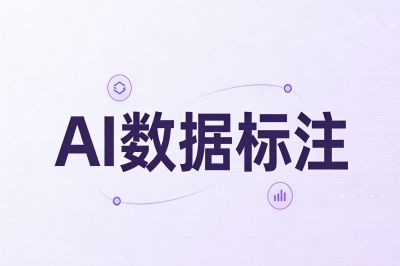 AI数据标注