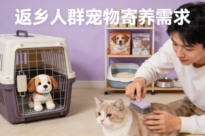 捕捉返乡人群宠物需求