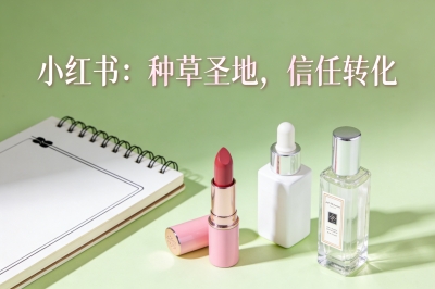 小红书:种草圣地,信任转化