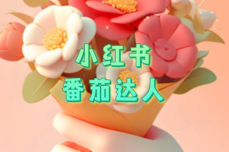 小红书番茄达人