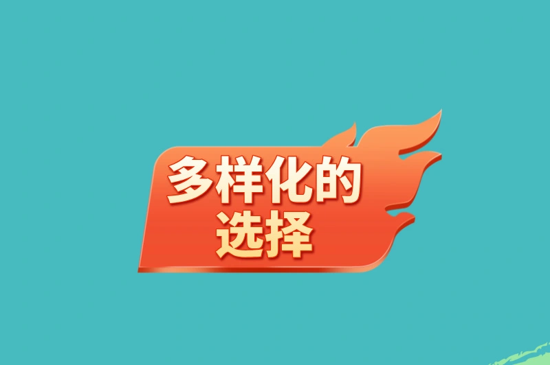 多样化的选择