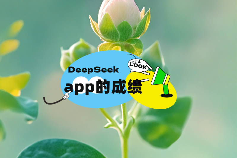 DeepSeek app的成绩