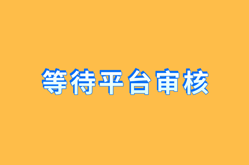 等待平台审核