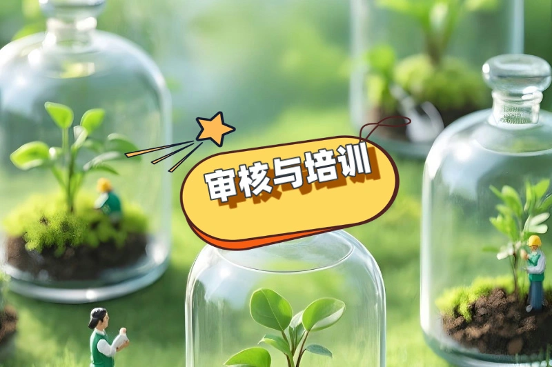 审核与培训