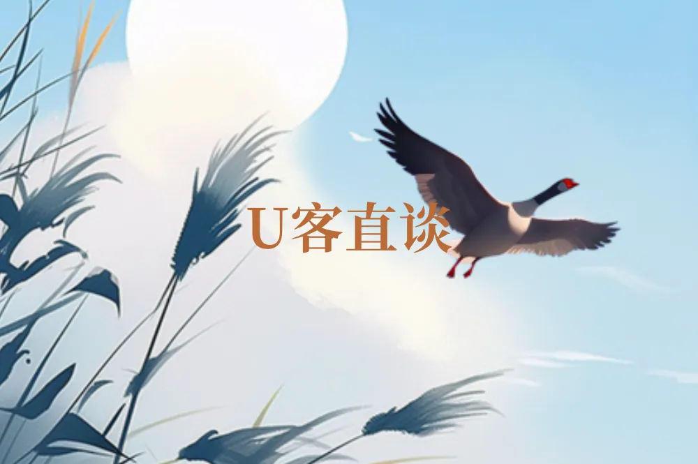 U客直谈