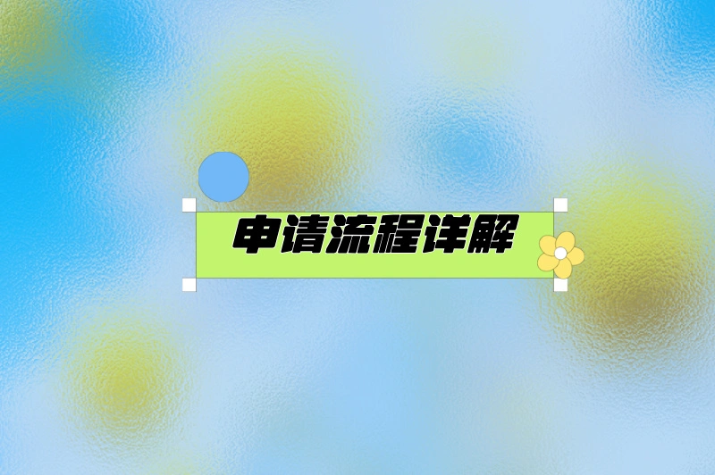 申请流程详解