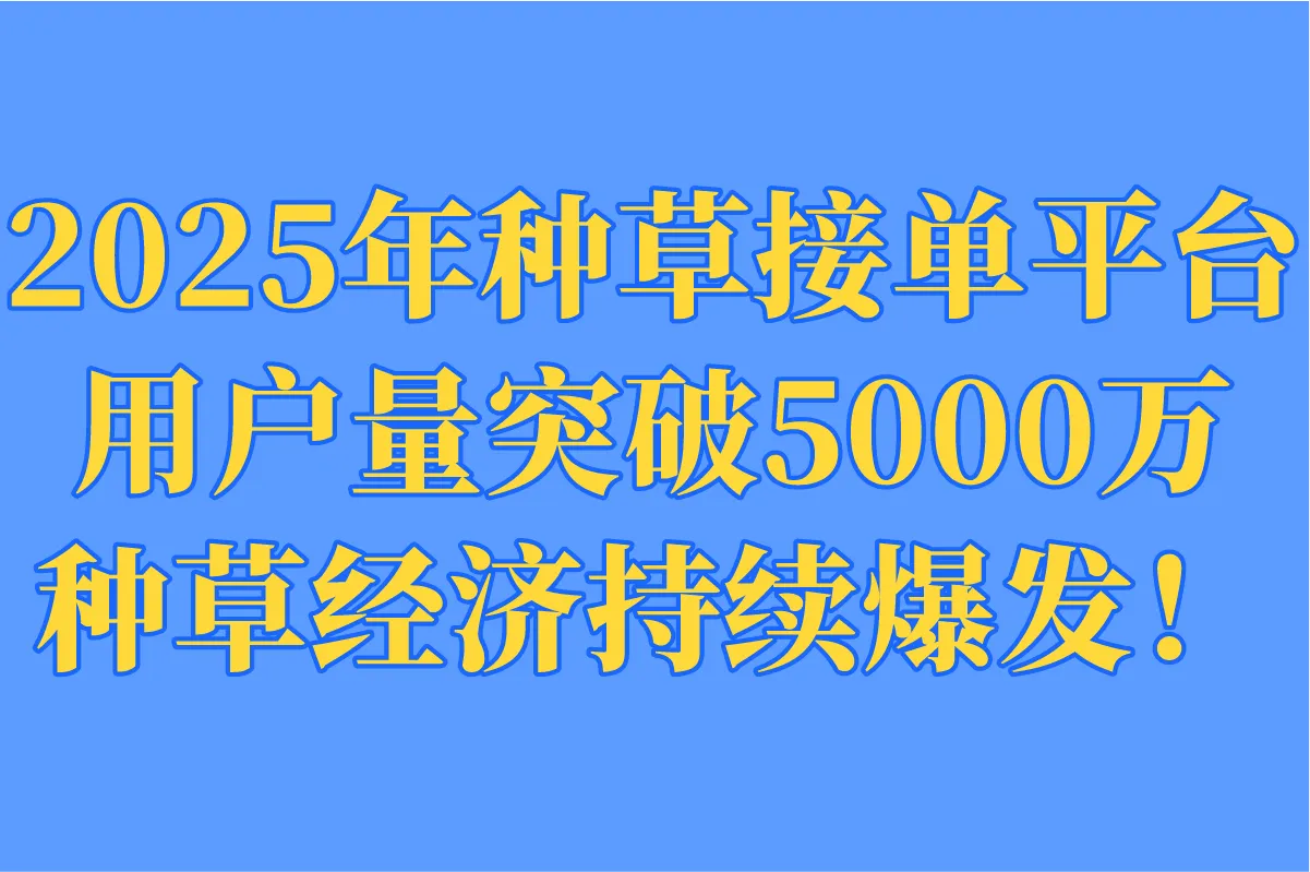 2025年最值得推荐的种草接单平台有哪些?4大热门平台详细解析