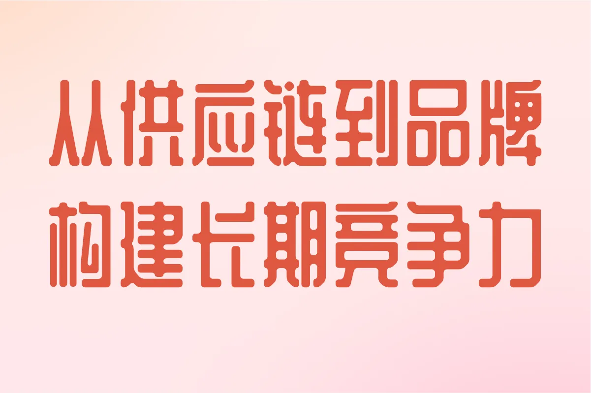 从供应链到品牌,构建长期竞争力