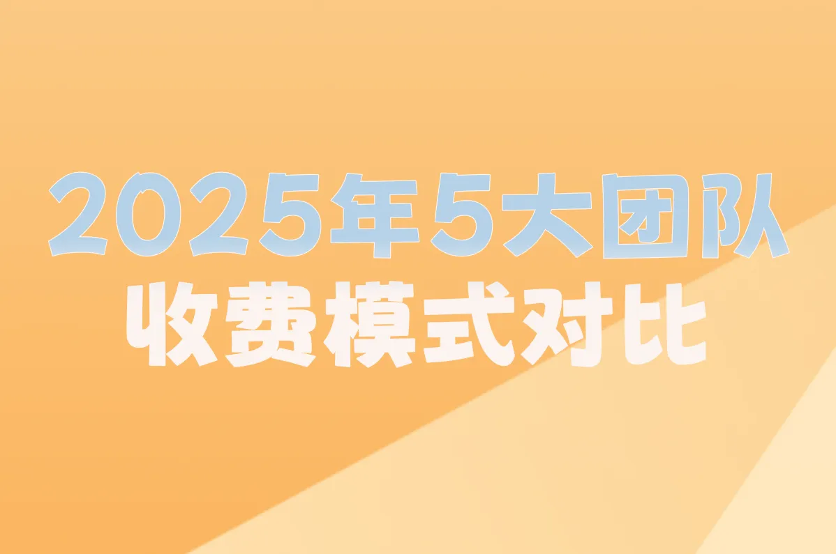 2025年5大团队收费模式对比
