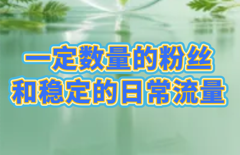 定数量的粉丝和稳定的日常流量