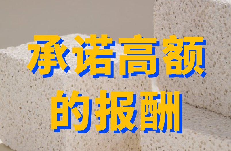 承诺高额的报酬