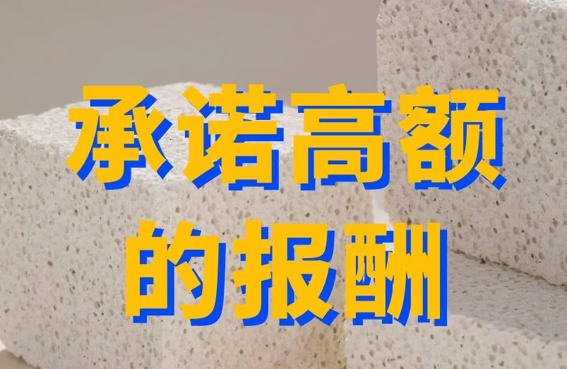 承诺高额的报酬