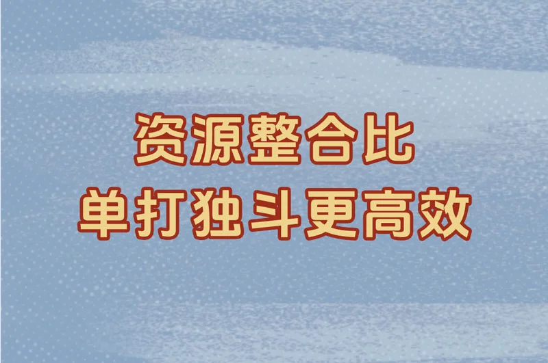 资源整合比 单打独斗更高效