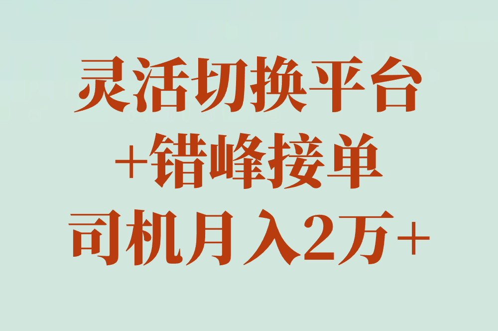 灵活切换平台 +错峰接单 司机月入2万+