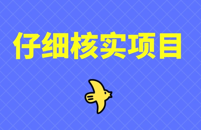 仔细核实项目
