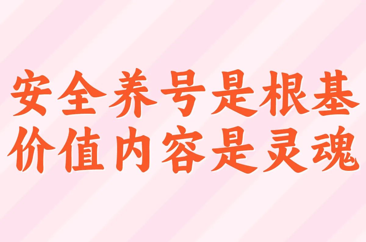 安全养号是根基 价值内容是灵魂