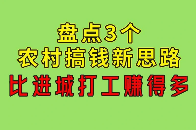 农村什么赚钱最快？盘点3个农村搞钱新思路，比进城打工赚得多！