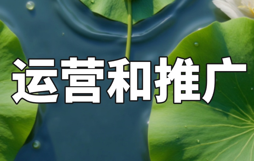运营和推广