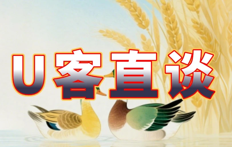 U客直谈