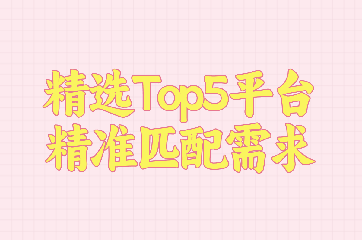 精选Top5平台 精准匹配需求