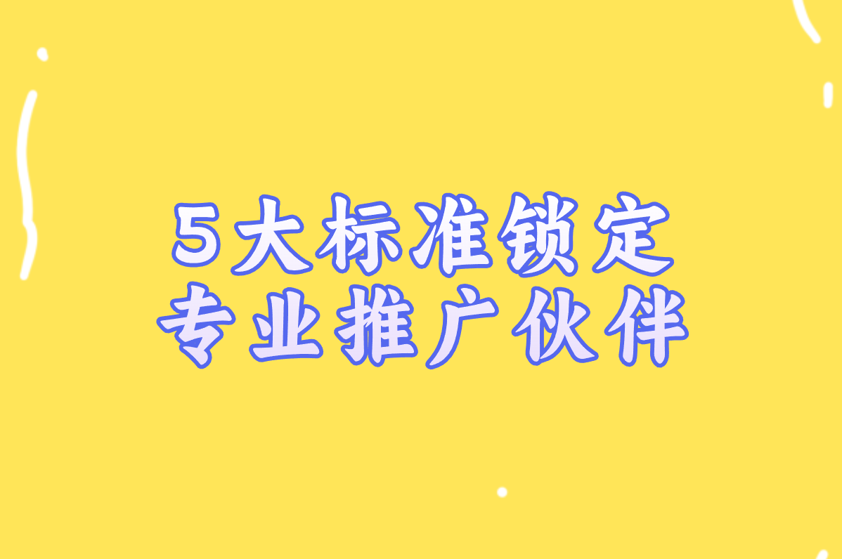 5大标准锁定 专业推广伙伴