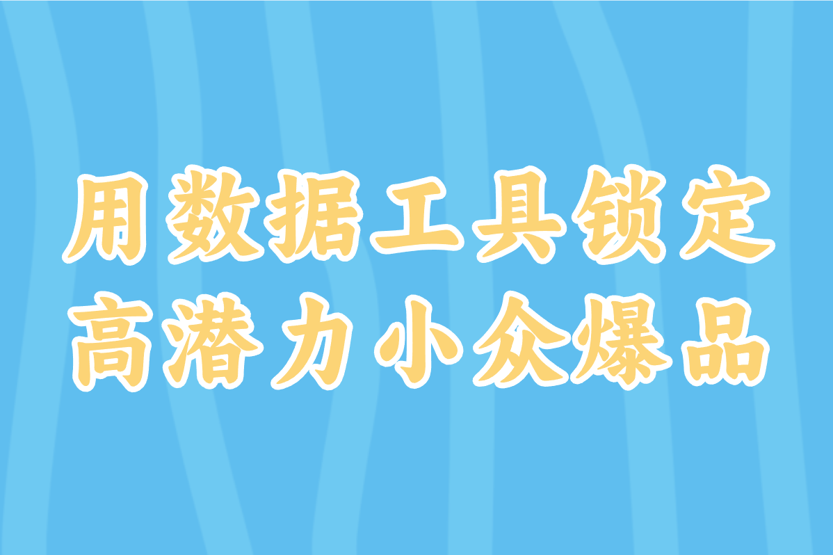 用数据工具锁定 高潜力小众爆品