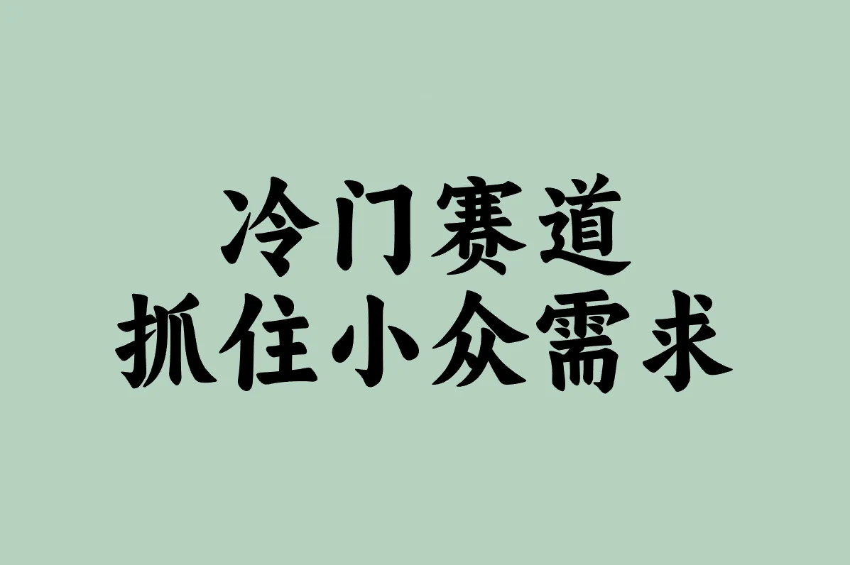 冷门赛道 抓住小众需求