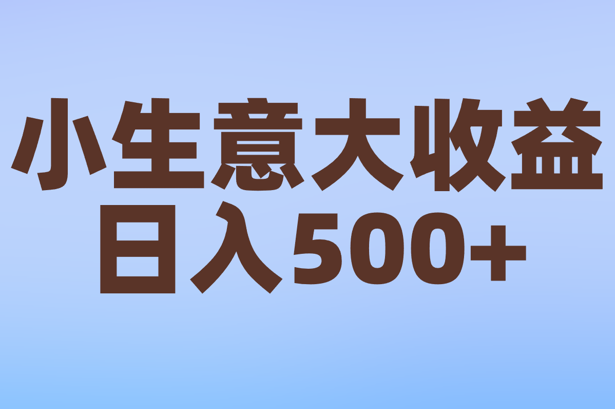 小生意大收益 日入500+