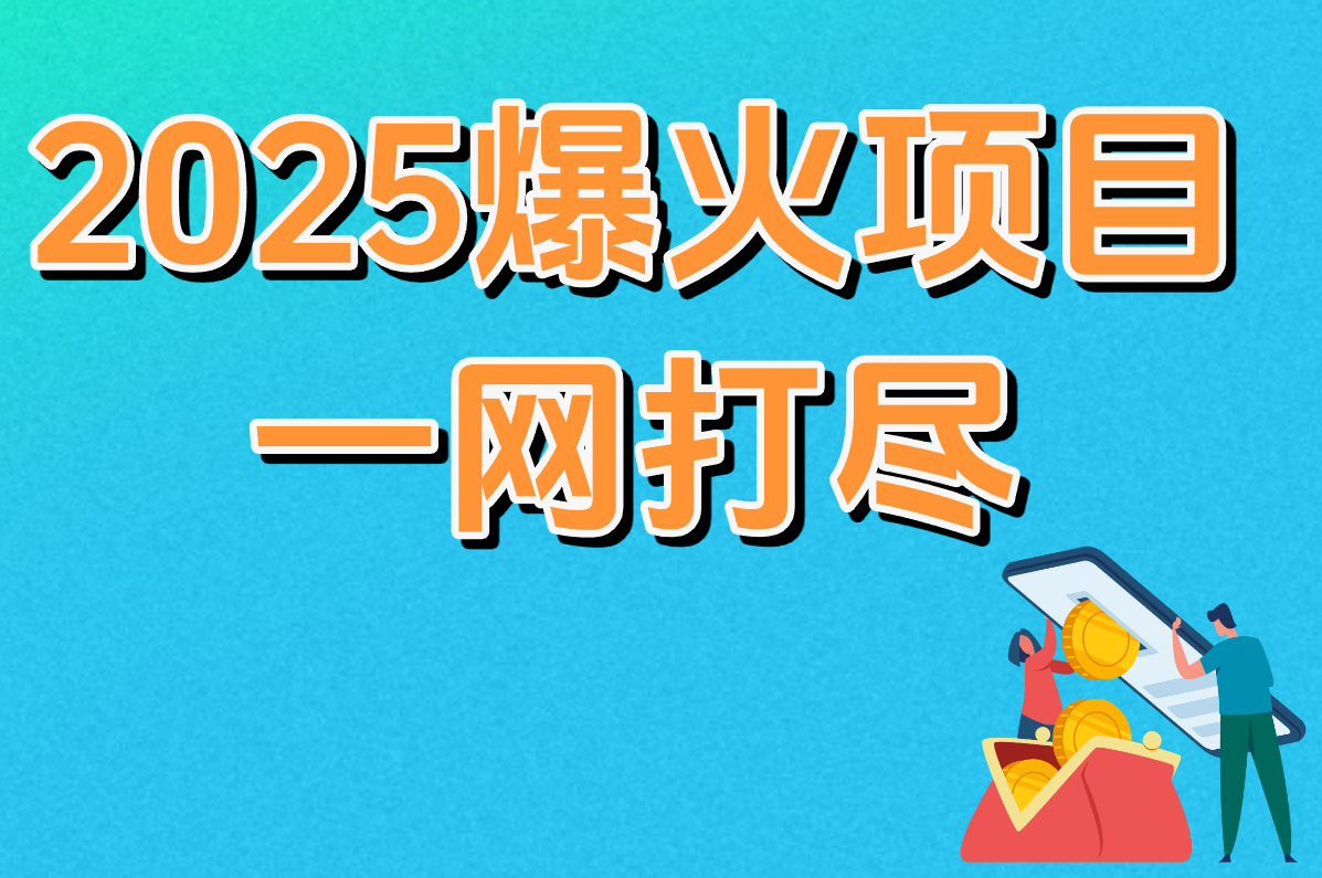2025爆火项目 一网打尽