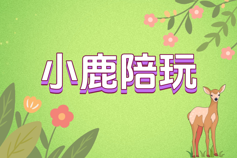 小鹿陪玩