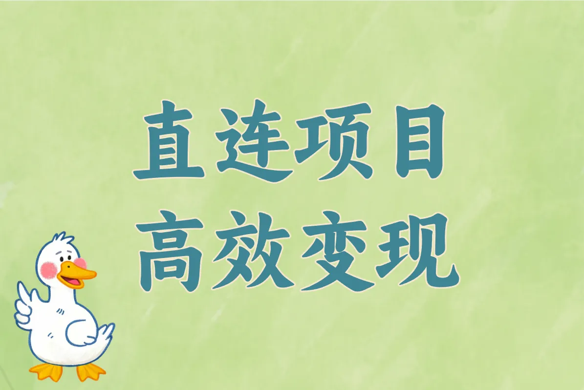 直连项目 高效变现