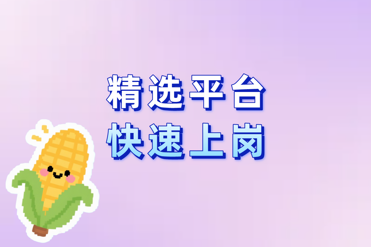 精选平台 快速上岗